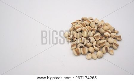 Job's Tears, Also Known As Adlay And Coix On White Background. Popular In Asian Cultures As A Food S