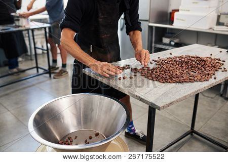 Worker Sorting Cocoa Beans On A Factory Table