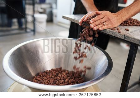 Worker Pushing Cocoa Beans Into A Bowl For Chocolate Production