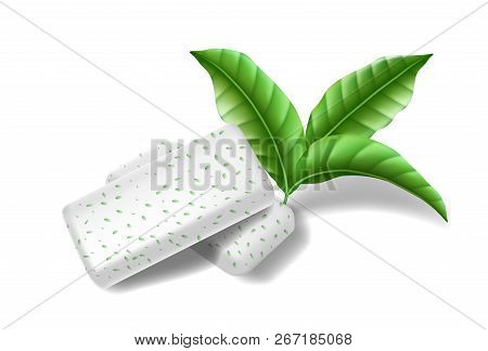 Chewing Pads Gum With Mint Leaves Isolated. Bubble Gums For Healthy Teeth And Fresh Breathing. Templ