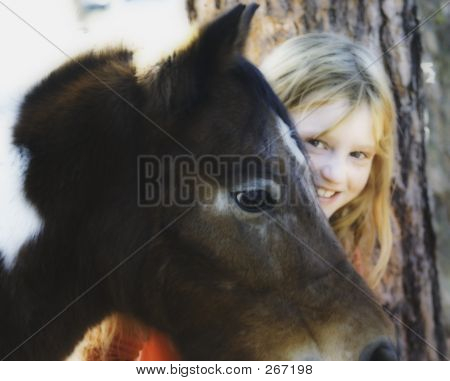 Horsefriend