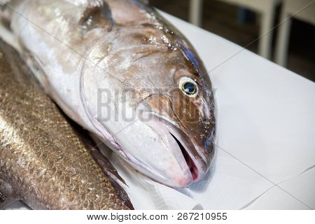 Big Fresh Raw Fish Greater Amberjack On Table
