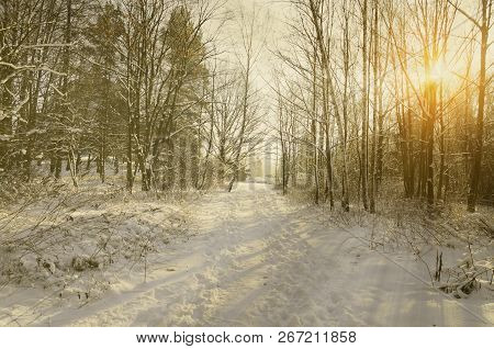 Winter Landscape At Sunset. Snow Capped Trees At He Footpath Through A Snowy Park With Sun Rays And 