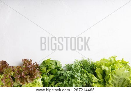 Fresh Aromatic Culinary Herbs On White Background. Lettuce, Dill, Leaf Celery And Small Leaved Basil
