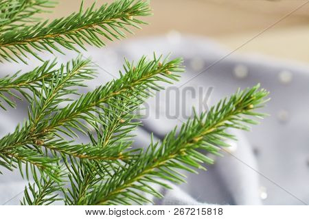 Green Branches Of Spruce With A Cozy Warm Knitted Scarf, Place For Text. Rustic Christmas Tree And W