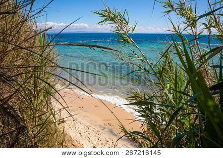 Landscape Of Punta Paloma Beach In Cadiz From The Cane Forest