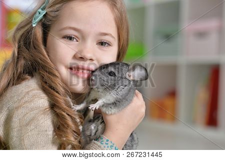 Portrait Of A Cute Girl Playing With Chinchilla