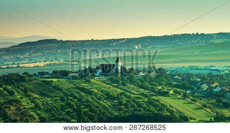 Beautiful mornong view of stripe planted green grapes and cacsle on a hill