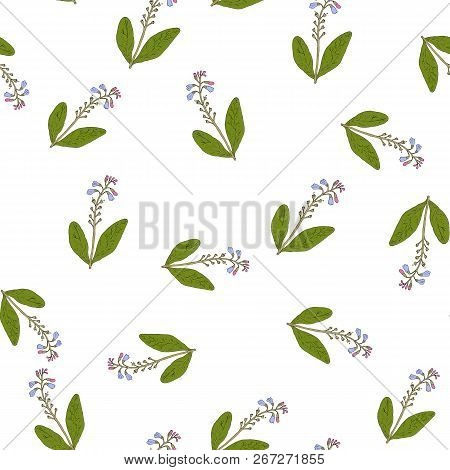 Comfrey Seamless Pattern. Hand Drawn Vector Illustration
