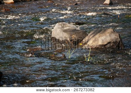 Waterfalls In Summer. Clear And Fresh Water Are Falling Down. Tints Of Green, Blue And White. There 