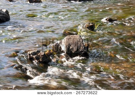 Waterfalls In Summer. Clear And Fresh Water Are Falling Down. Tints Of Green, Blue And White. There 