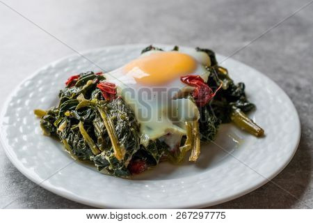 Turkish Food Spinach With Egg