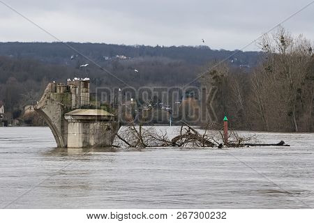 Old Bridge Pier Of Poissy, In The 2018 Exceptional Winter Flood, Bringing Huge Branches In Its Flow