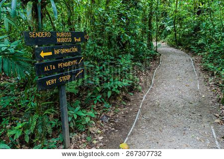 Signs At Hiking Trails In A Cloud Forest Of Reserva Biologica Bosque Nuboso Monteverde, Costa Rica