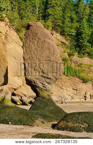 Hopewell Cape, Canada - September 24, 2018: View Of Hopewell Rocks At Low Tide, With Visitors Stroll