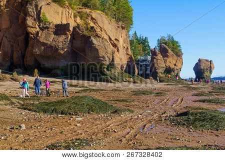 Hopewell Cape, Canada - September 24, 2018: View Of Hopewell Rocks At Low Tide, With Visitors Stroll
