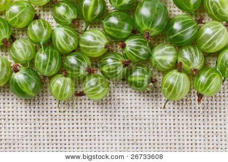viele Stachelbeere Früchte auf grau Bettwäsche Tischtuch mit Kopie, Raum, design bereit