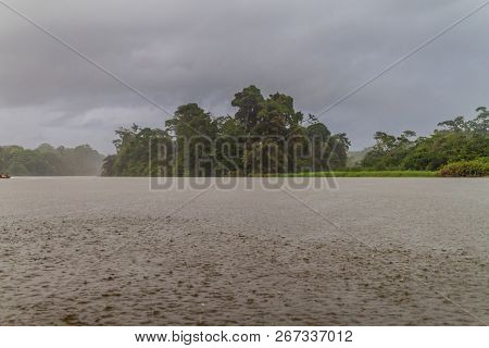Canal Near Tortuguero In A Heavy Rain, Costa Rica
