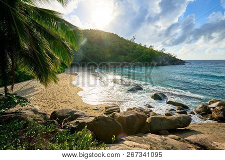 Anse Major Trail, Hiking On Nature Trail Of Mahe, Seychelles