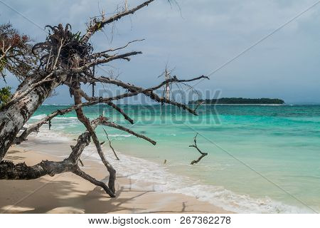 Coast Of Isla Zapatilla Island, Part Of Bocas Del Toro Archipelago, Panama