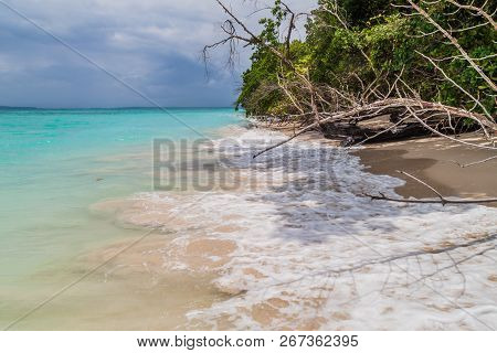 Coast Of Isla Zapatilla Island, Part Of Bocas Del Toro Archipelago, Panama
