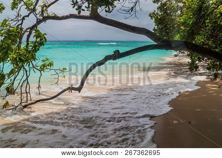 Coast Of Isla Zapatilla Island, Part Of Bocas Del Toro Archipelago, Panama