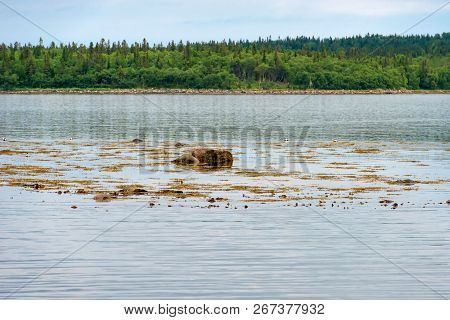 Anzer Island. Solovetsky Islands. White Sea Coast