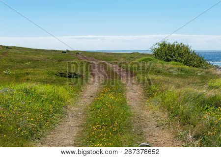 Rural Road - The Gauge Goes Along The White Sea On Anzersky Island