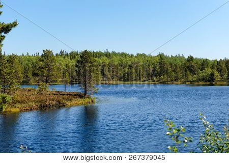 Forest Lake And Vegetation On Anzersky Island, Arkhangelsk Region, Russia