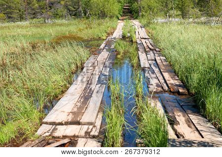 A Road Through A Bog Planked On Anzersky Island, Arkhangelsk Region, Russia