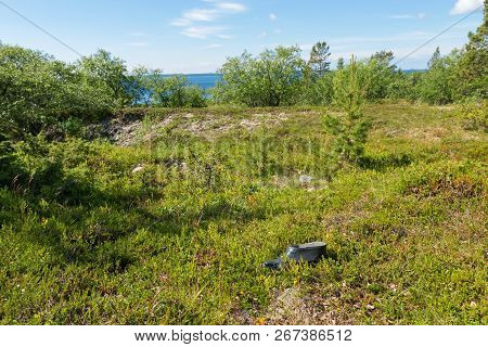 The Coastal Strip Of The White Sea And Tundra Vegetation On The Island Of Anzersky