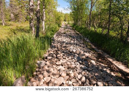 Road Through A Bog Laid Out On Anzersky Island, Arkhangelsk Region, Russia