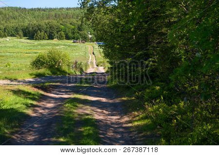 Forest Road At Trinity Monastery On Anzersky Island, Arkhangelsk Region, Russia