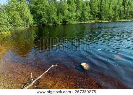 Forest Lake And Vegetation On Anzersky Island, Arkhangelsk Region, Russia