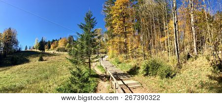 Trail To Dry Forest Near The Lechfall, Germany