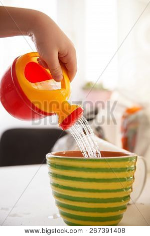 Little Kid Boy Watering Plants With Watering Can At Home. A Charming Little Child Exploring Nature A