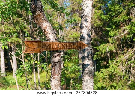 Island Anzersky, Russia - June 26, 2018: Roadside Forest Signpost - Direction Of Travel To The Pier 