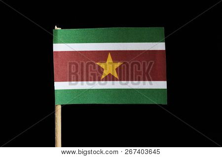 A Official Flag Of Suriname On Toothpick On Black Background. A Horizontal Triband Of Green And Red 