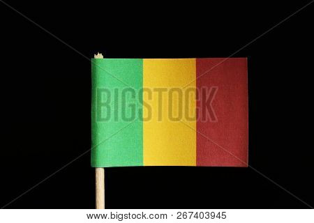 A Official And Original Flag Of Mali On Toothpick On Black Background. Consists Of A Vertical Tricol