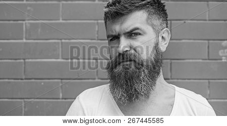 Stylish Trimming Beard. Beard Grooming Has Never Been So Easy. Beard Care Tricks Will Keep Your Faci