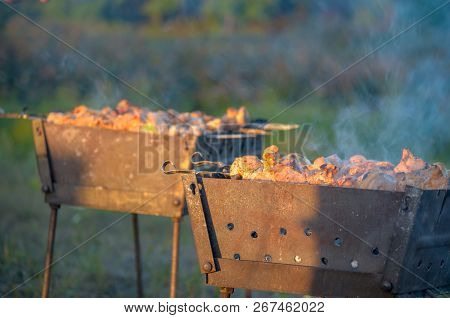 Natural Wood Fire For Bbq, Mangal Fire To Outdoor. Mangal Fire, Nature Fireplace, Nice Hd Real Fire.