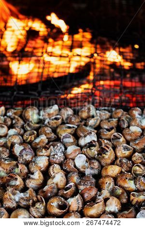 closeup of a tray of caragols a la llauna, a recipe of snails typical of Catalonia, Spain, being cooked on a firewood