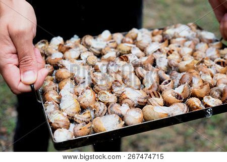 closeup of a yougn caucasian man holding a tray with seasoned snails, about to prepare caragols a la llauna, a recipe of snails typical of Catalonia, Spain