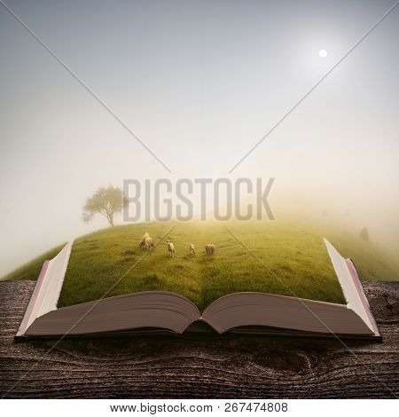 Herd Of Sheeps Grazing On A Meadow At Morning On The Pages Of An Open Magical Book. Majestic Landsca