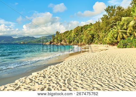 Anse Soleil With Coconuts Palm Tree And White Sand, Mahe, Seyche