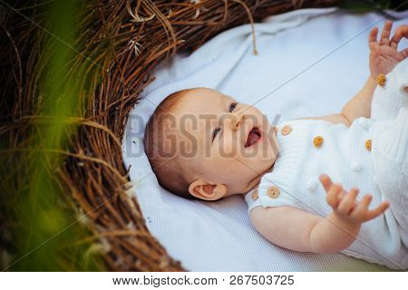 Newborn Baby Care Book For Parents. Newborn Baby Girl Or Boy Awake In Crib. Kid And Parents. Committ