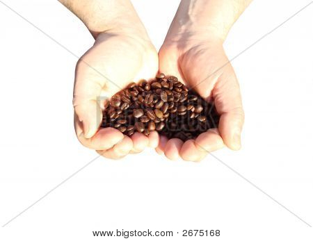Le mani pieno di caffè