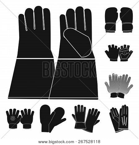 Vector Design Of Glove And Winter Symbol. Set Of Glove And Equipment Stock Vector Illustration.