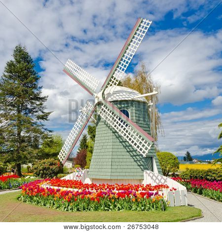 Giardino di tulipani con mulino a vento di Skagit, Washington State, America.