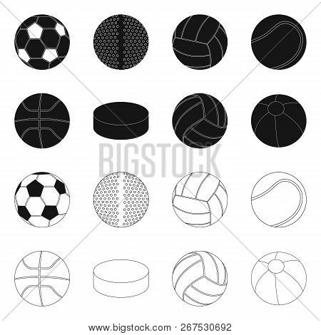 Vector Illustration Of Sport And Ball Sign. Set Of Sport And Athletic Stock Vector Illustration.